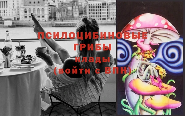 ECSTASY Липки