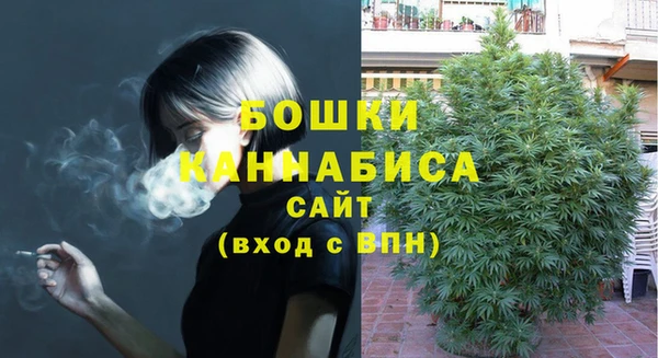 ECSTASY Липки