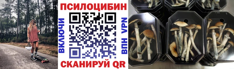 Галлюциногенные грибы ЛСД  Купить где  Медынь 