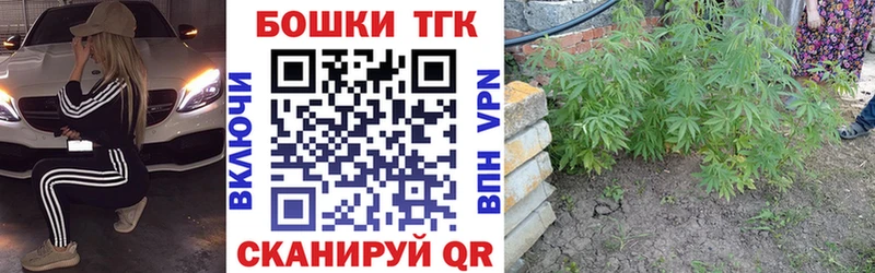Купить закладки  Медынь  Каннабис планчик 